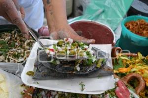 TLAXCALA . QUESADILLAS DE NOPALUCAN 