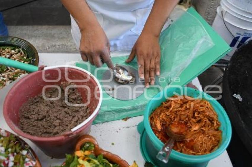 TLAXCALA . QUESADILLAS DE NOPALUCAN 