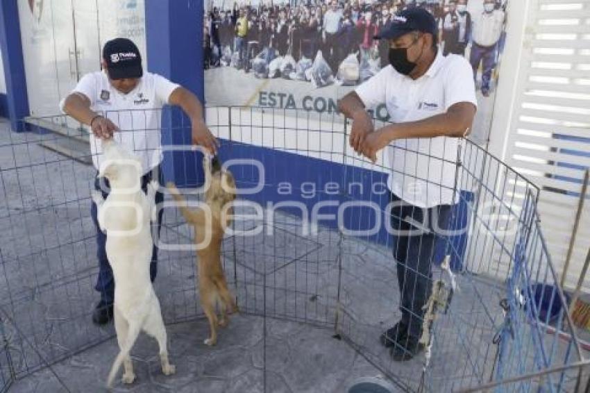 CONTROL ANIMAL . JORNADA DE ADOPCIÓN 