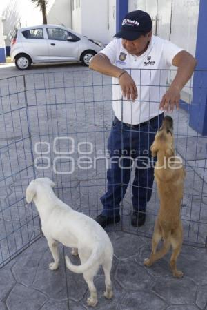 CONTROL ANIMAL . JORNADA DE ADOPCIÓN 