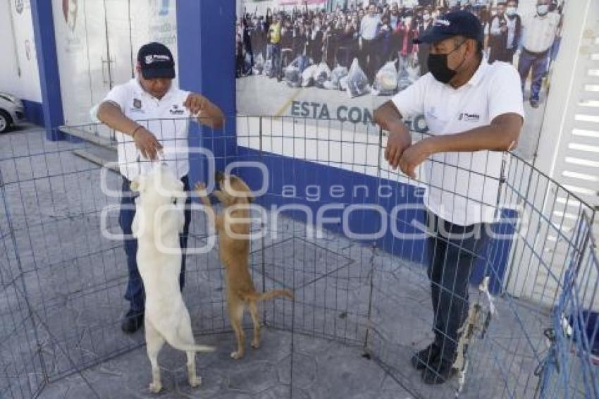 CONTROL ANIMAL . JORNADA DE ADOPCIÓN 