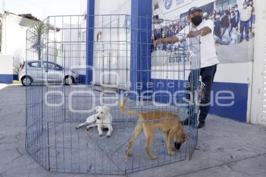 CONTROL ANIMAL . JORNADA DE ADOPCIÓN 