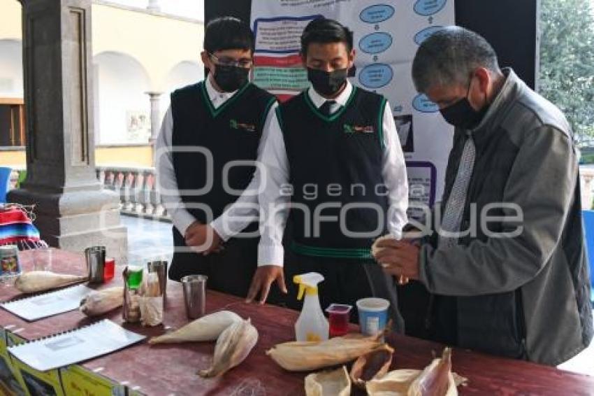 TLAXCALA . EXPO VENTA MAÍZ