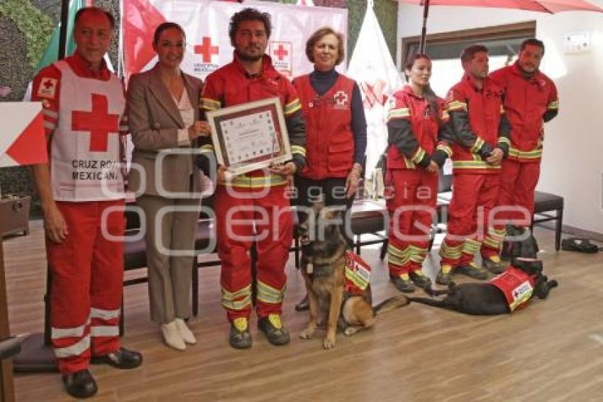 CRUZ ROJA . RECONOCIMIENTO BINOMIOS CANINOS