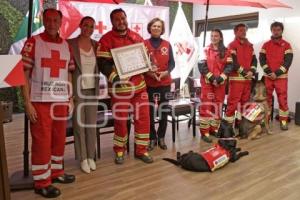 CRUZ ROJA . RECONOCIMIENTO BINOMIOS CANINOS