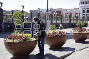 LIMPIA MACETEROS ZÓCALO