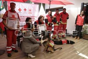 CRUZ ROJA . RECONOCIMIENTO BINOMIOS CANINOS