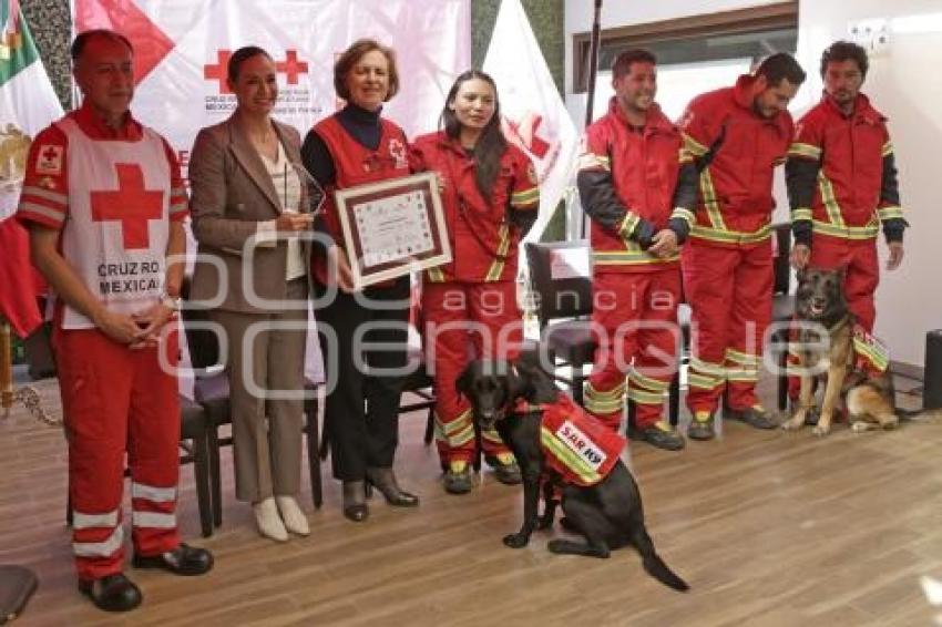 CRUZ ROJA . RECONOCIMIENTO BINOMIOS CANINOS