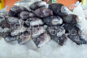 TEHUACÁN . VENTA PESCADO