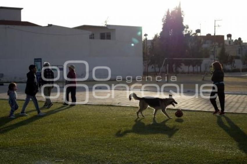 CAMPOS DEL SEMINARIO