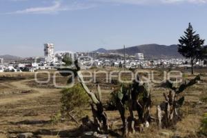 ANGELÓPOLIS . CRECIMIENTO INMOBILIARIO