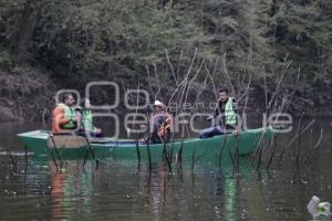 BIORUTA DEL CAFÉ . PRESA DE NECAXA