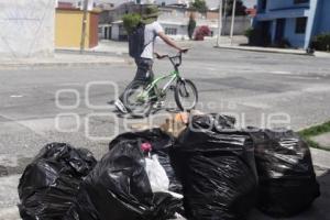 MEDIO AMBIENTE . BASURA