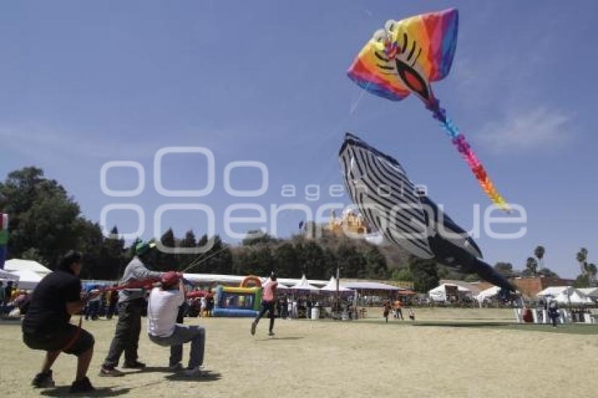 SAN ANDRÉS CHOLULA . FESTIVAL VOLARTE