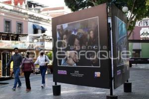 8M EXPOSICIÓN FOTOGRÁFICA 