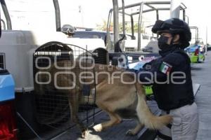 DÍA DE LA MUJER . POLICÍA