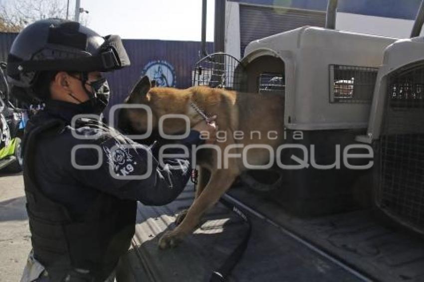 DÍA DE LA MUJER . POLICÍA