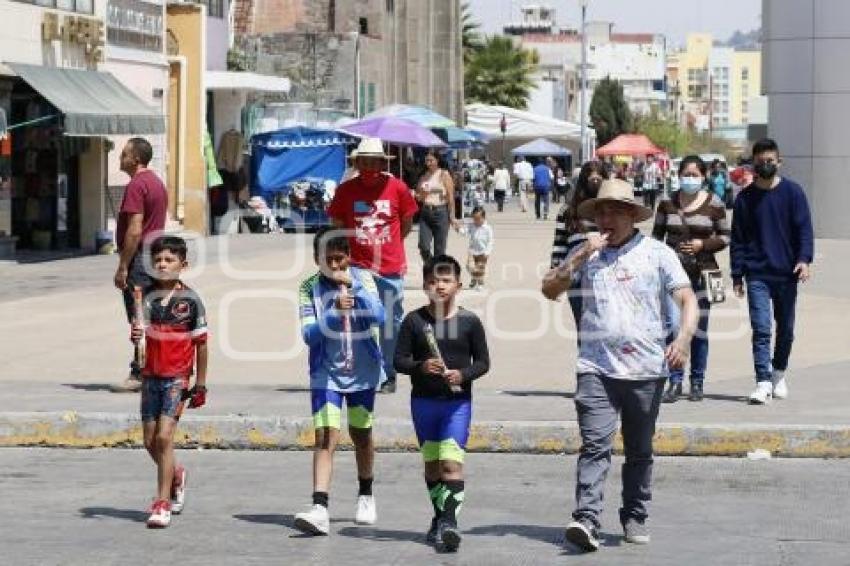 TLAXCALA . FAMILIAS