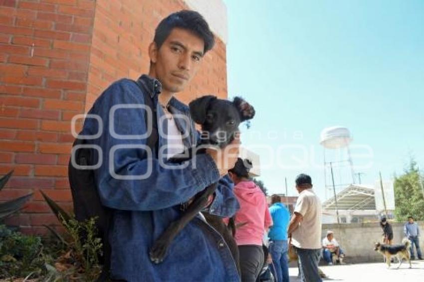 TLAXCALA . ESTERILIZACIÓN MASCOTAS