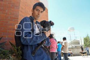 TLAXCALA . ESTERILIZACIÓN MASCOTAS