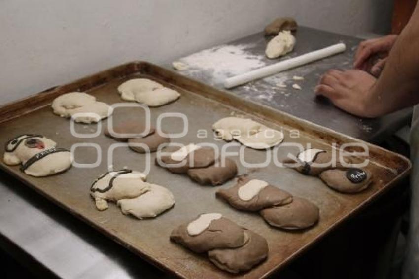 CONCHAS FRIDA Y PROTEO