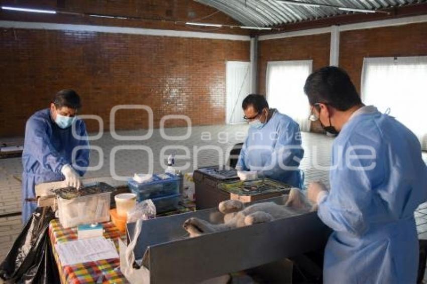 TLAXCALA . ESTERILIZACIÓN MASCOTAS