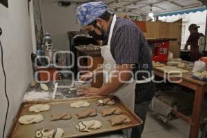 CONCHAS FRIDA Y PROTEO