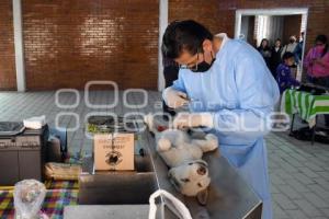 TLAXCALA . ESTERILIZACIÓN MASCOTAS