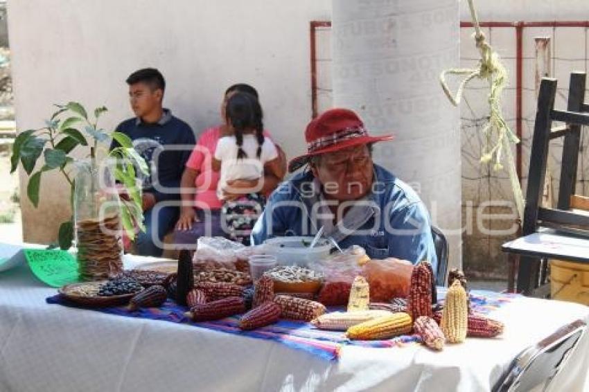 TLAXCALA . FERIA DEL MAÍZ