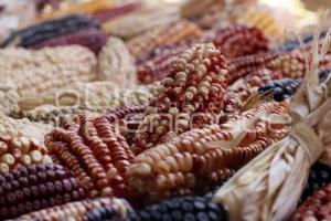 TLAXCALA . FERIA DEL MAÍZ