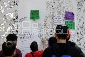 VIOLENCIA DE GÉNERO . PROTESTA