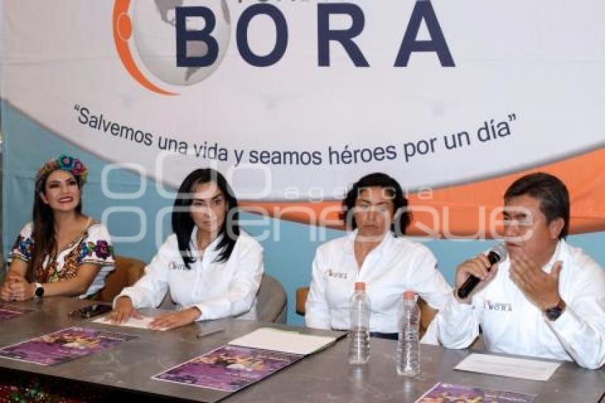 FUNDACIÓN BORA