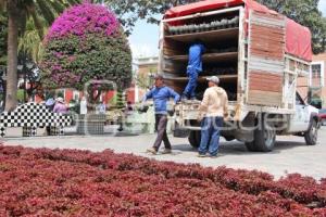 ATLIXCO . MOSAICO FLORAL