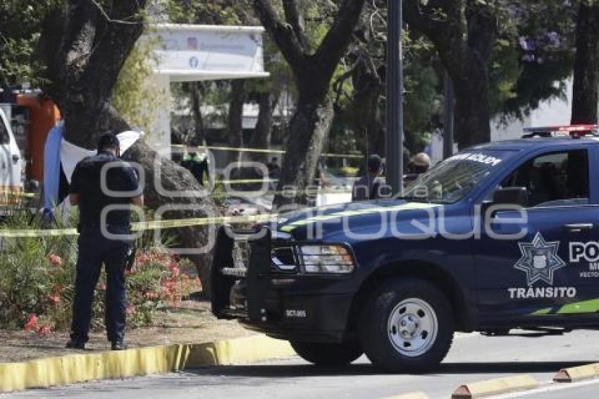 NOTA ROJA . SUICIDIO