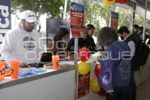 AYUNTAMIENTO . FERIA DEL EMPLEO