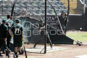 BEISBOL . PERICOS DE PUEBLA