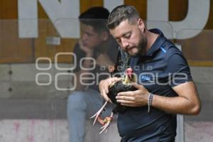 TLAXCALA . PELEAS DE GALLO