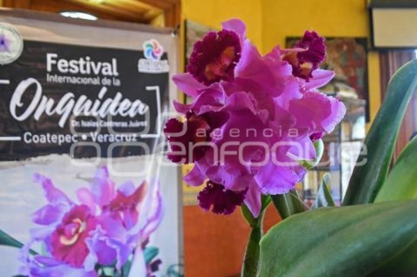 TLAXCALA . FESTIVAL DE LA ORQUIDEA