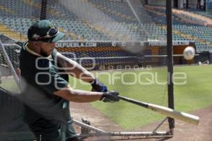 BEISBOL . PERICOS DE PUEBLA