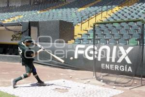 BEISBOL . PERICOS DE PUEBLA