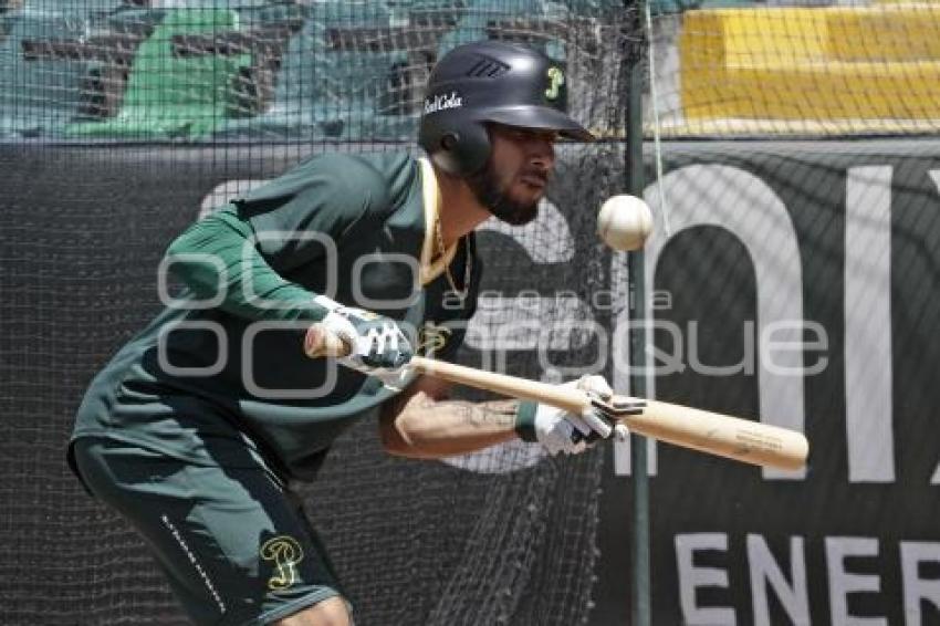 BEISBOL . PERICOS DE PUEBLA