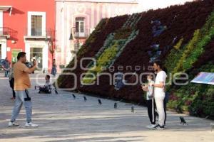 ATLIXCO . MOSAICO FLORAL