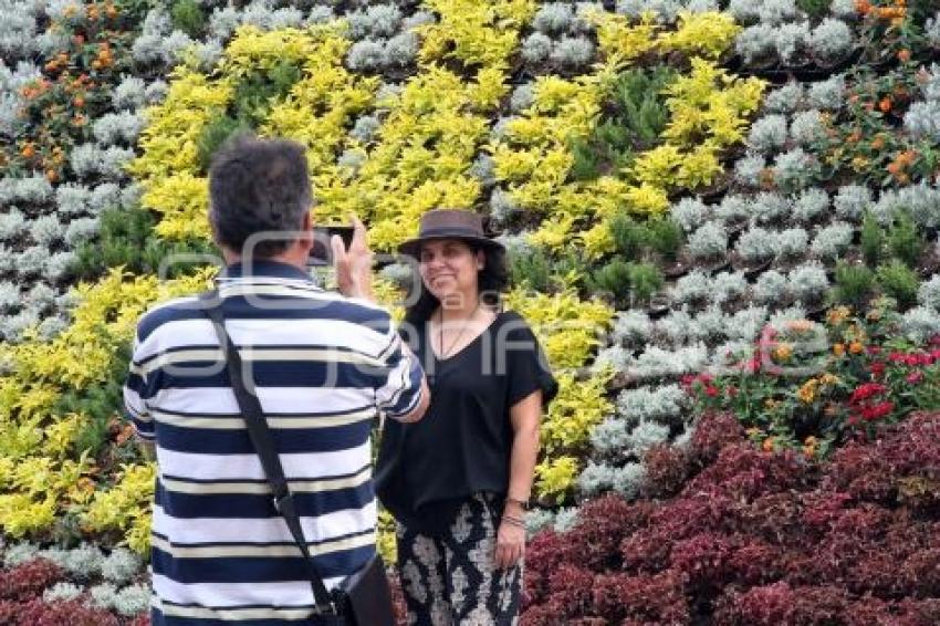 ATLIXCO . MOSAICO FLORAL