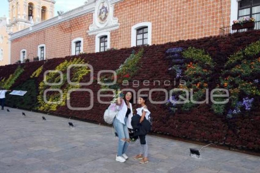 ATLIXCO . MOSAICO FLORAL