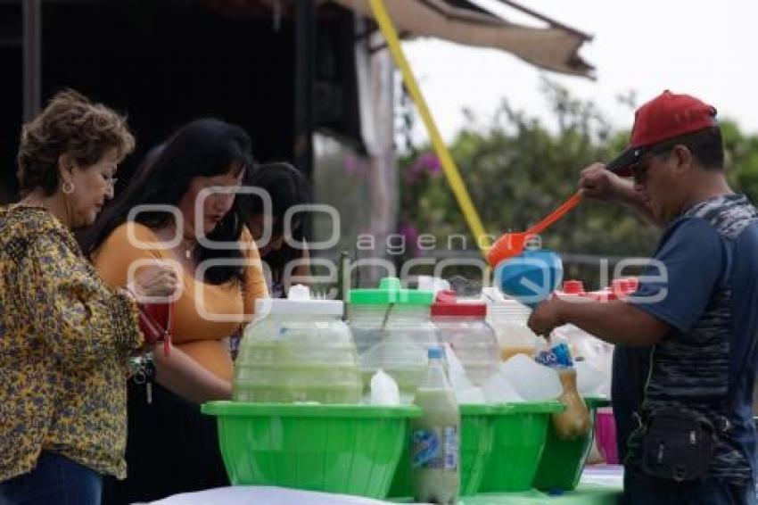 SAN ANDRÉS CHOLULA . FERIA DEL PULQUE 