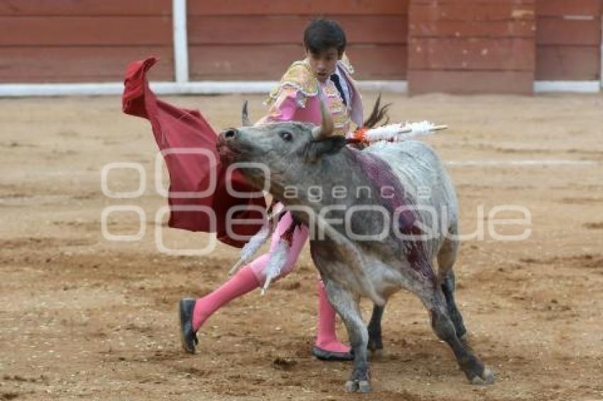 TLAXCALA . NOVILLADA