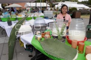 SAN ANDRÉS CHOLULA . FERIA DEL PULQUE 