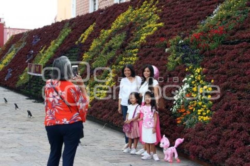 ATLIXCO . MOSAICO FLORAL