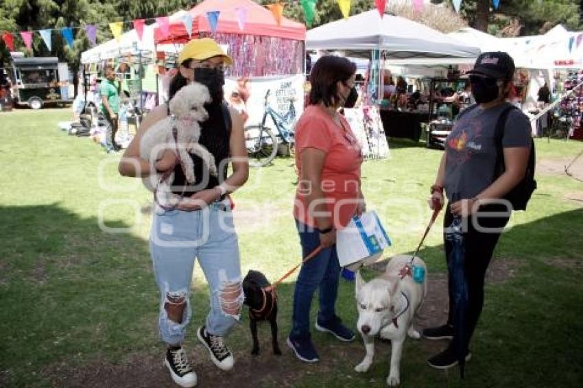 PERRO GATO FEST