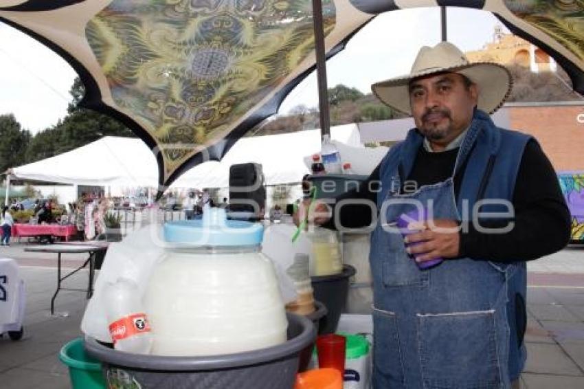 SAN ANDRÉS CHOLULA . FERIA DEL PULQUE 